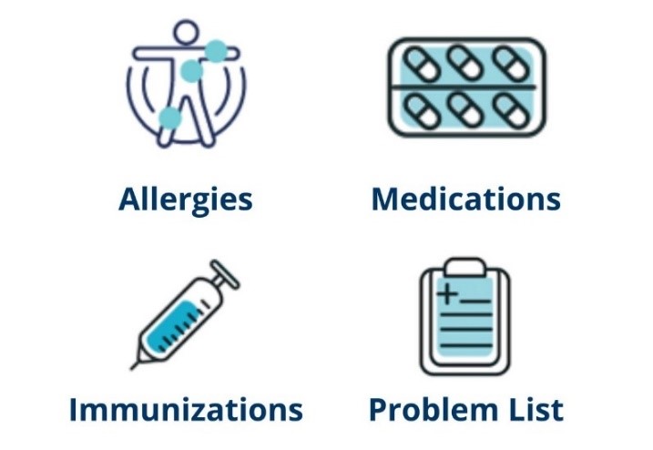 Allergies, medications, immunizations and problem lists.  